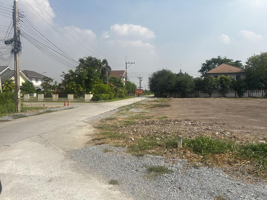 ขายที่ดินจัดสรรสวนเกษตรไผ่ขวาง 7 แปลง 3