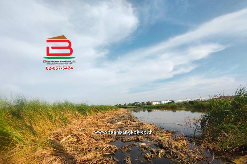 ที่ดินเปล่า เนื้อที่ 30-1-53 ไร่ ใกล้การไฟฟ้าบางปะกง ถนนบางนา-ตราด กม.52 ฝั่งขาออก ตำบลบางปะกง อำเภอบางปะกง ฉะเชิงเทรา 6