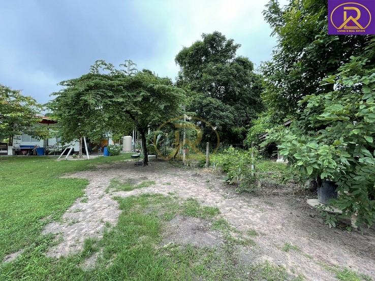 ขายบ้านสวน บ้านพัก 1-2-33 ไร่ พร้อมผลไม้ หลากหลายชนิด ทำเลดี เหมาะสำหรับพักผ่อน ต.บ้านสวน อ.เมืองชลบุรี จ.ชลบุรี 5