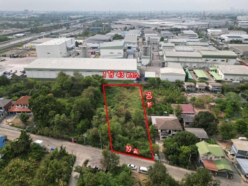 L893 ขายที่ดิน 443 ตรว ผังสีม่วง ใกล้นิคมอุตสาหกรรมบางกะดี บางพูน ปทุมธานี 4