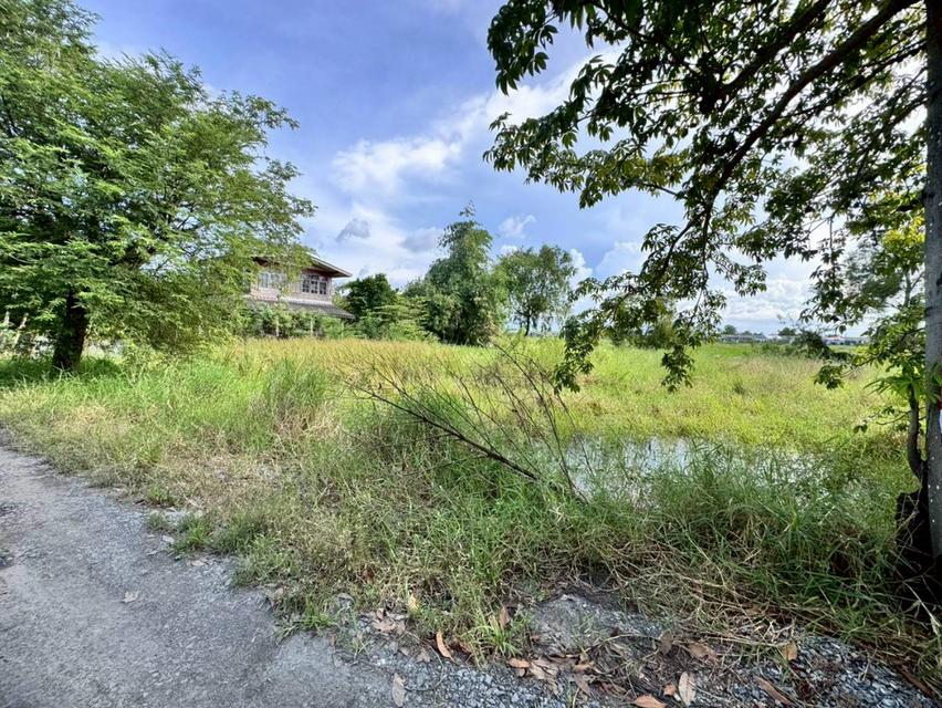 ขายที่ดิน 200 ตารางวา ถ.ประชาสำราญ เข้าซอยเพียง 350 เมตร (N.1862) 1