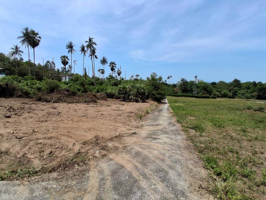 📍Land For Sale in KOH Samui 3