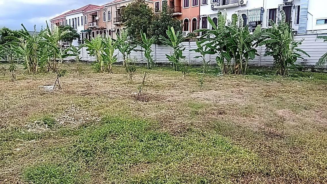 ที่ดิน เปล่าทำเลดี ติดถนนวัชรพล เวนิสดิไอริส  หมู่บ้านเศรษฐสิริวัชรพล 2