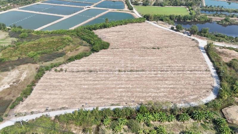 ที่ดินเปล่า ถมแล้ว 12-3-22 ไร่ ห้วยม่วง นครปฐม 5