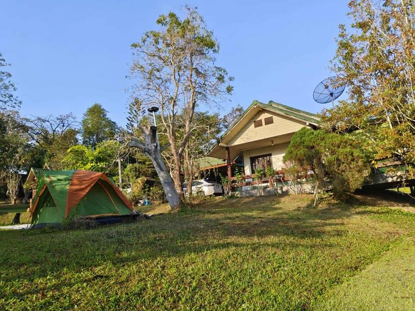 บ้านอิงลม ชมหมอก 1  ซอยไทยสามัคคี คลองย่าโม 1  วังน้ำเขียว 2 ไร่ 3.5 ล้าน 8