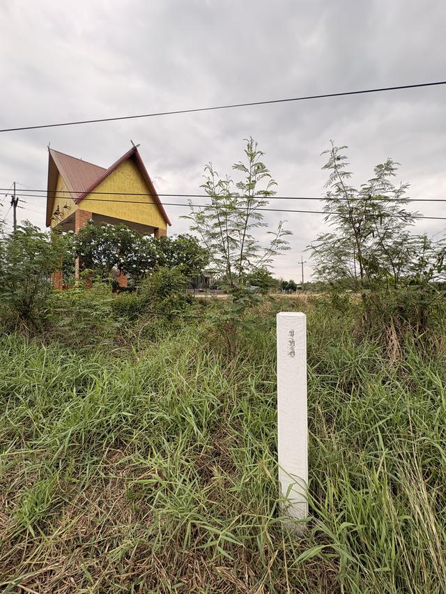 ขายที่ดิน2ไร่ จังหวัดเลย วังสะพุง วัดป่าผาเจริญ 9