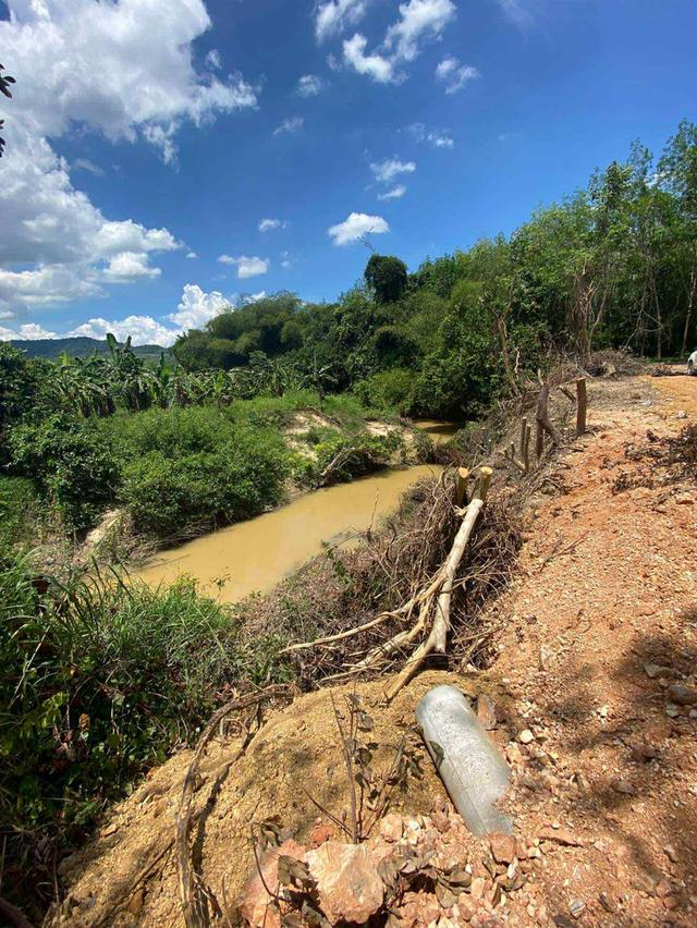 ขายสวนกระท่อม 3 ไร่ 3งาน 50 ตารางวา ติดคลองธรรมชาติ 5