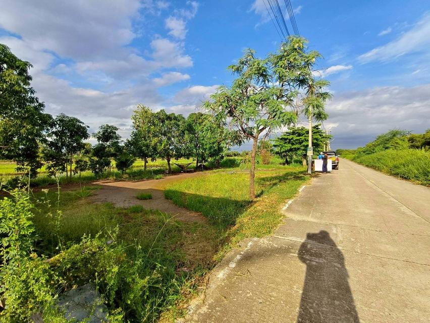 ขายด่วนที่ดิน 100 ตาว ติดถนนคอนกรีตสาธารณะ ถมแล้ว ซ.คลองสี่ตะวันตก 34/1  อ.คลองหลวง จ.ปทุมธานี 2