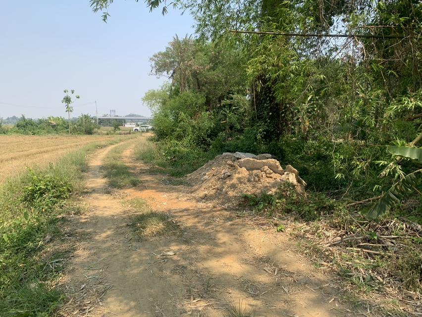 ขายที่ดินเปล่าหลังเทศบาลทุ่งเสลี่ยม 🌳🌿 มีขนาด 3 ไร่ 1 งาน 97 ตารางวา น่าสนใจมากค่ะ ถ้าใครมองหาที่ดินแปลงสวยๆ ติดต่อมาได้เลยนะคะ 📞 #ที่ดินทำเลดี #ทุ 5
