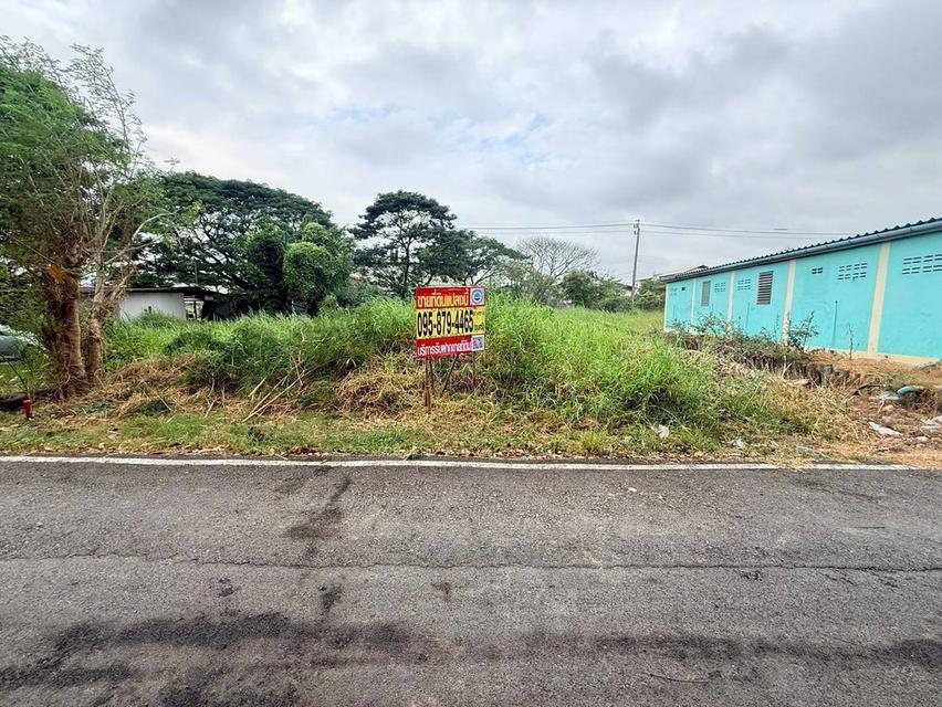 Vายถูกที่ดิน 50 ตารางวา ติดถนนลาดยางสาธารณะ ซอยสกุลช่าง บางบัวทอง นนทบุรี 3