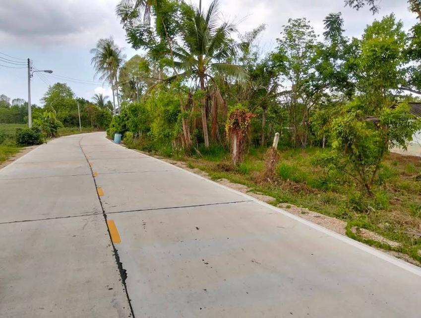 ขายที่ดิน 4 ไร่ บางพระ ใกล้สำนักงานที่ดินศรีราชา
