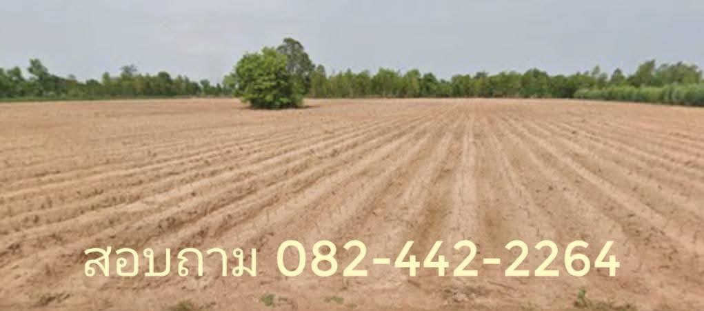 ที่ดินแปลงใหญ่ ทำเลดี 34 ไร่ 2 งาน 30 ตร.ว. จ.อุดรธานี 1