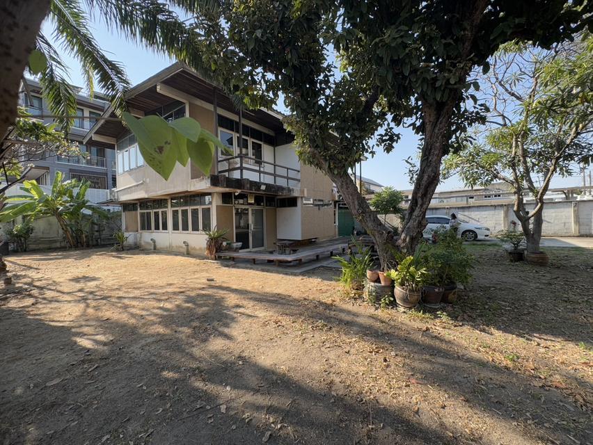 ขายบ้านเดี่ยว 2 ชั้นพร้อมที่ดินซอยสุขุมวิท97/1 ถนนสุขุมวิท (N.1543) 1