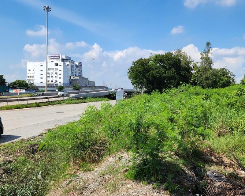 ขายที่ดินแปดริ้วทำเลดีเนื้อที่ 3 ไร่ ตรงข้ามโรงพยาบาลเกษมราษฎร์ ติดถนนใหญ่เส้นสุวินทวงศ์304 อ.เมืองฉะเชิงเทรา 2