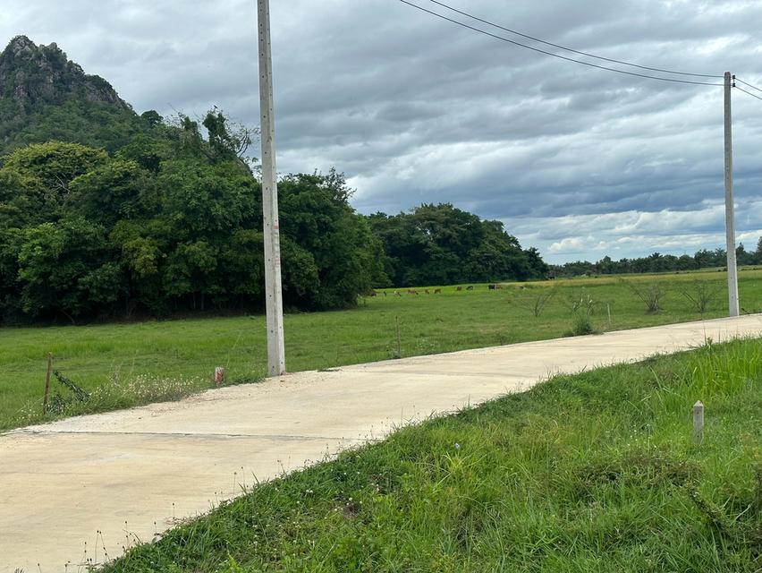 ที่ดิน ท่ายาง จ.เพชรบุรี 18