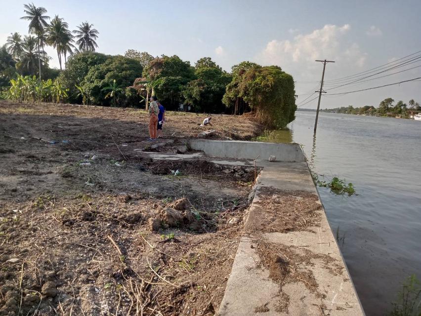 ที่ดินติดแม่น้ำแม่กลอง อำเภอบางคนที จังหวัดสมุทรสงคราม (แปลงสวยฮวงจุ้ยแอ่งท้องมังกร จากซินแสจีนประจำตระกูลเจ้าของที่ที่ทำธุรกิจระดับ TOP 10 ของประเทศ) 7