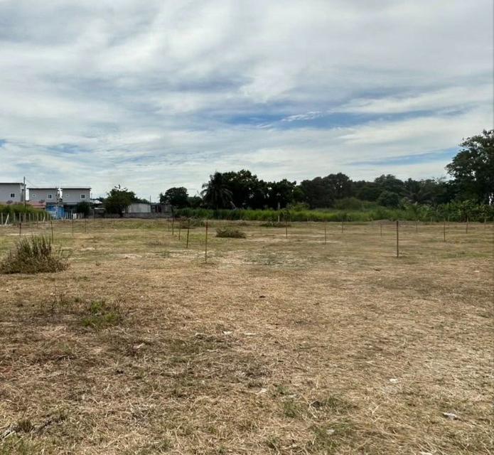 ขายที่ดินหนองขามถมแล้ว 3 ไร่ ติดถนนซอย6ชุมชนหนองค้อ ใกล้นิคมปิ่นทอง2-4กม.ใกล้ท่าเรือแหลมฉบัง-13กม. อ.ศรีราชา ชลบุรี 2