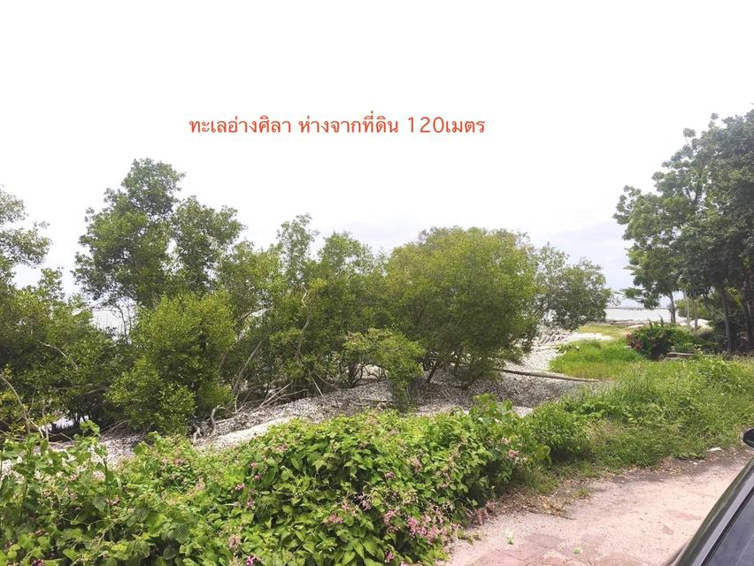 ขายที่ดินใกล้ทะเล อ่างศิลา เมืองชลบุรี เนื้อที่ 279ตรว. ห่างทะเล 120ม. เหมาะพัฒนาเป็นพูลวิลล่า บ้านพักส่วนตัว ติดถนน 2ด้าน หน้า 35ม.ลึก 30ม. 4