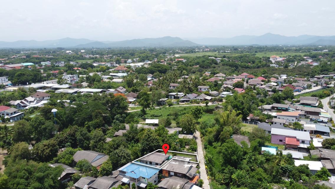 ขายบ้านพร้อมที่ดิน 88 ตร.ว. บ้านป่าไผ่ ใกล้ถนน 1317 เพียง 500 เมตร 4