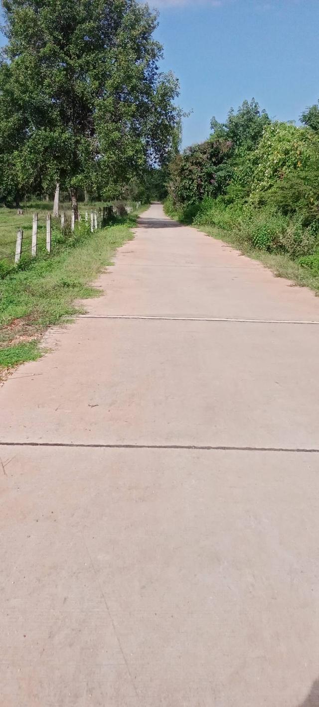 ประกาศขายไร่ประเสริฐชัย ด่วน 7