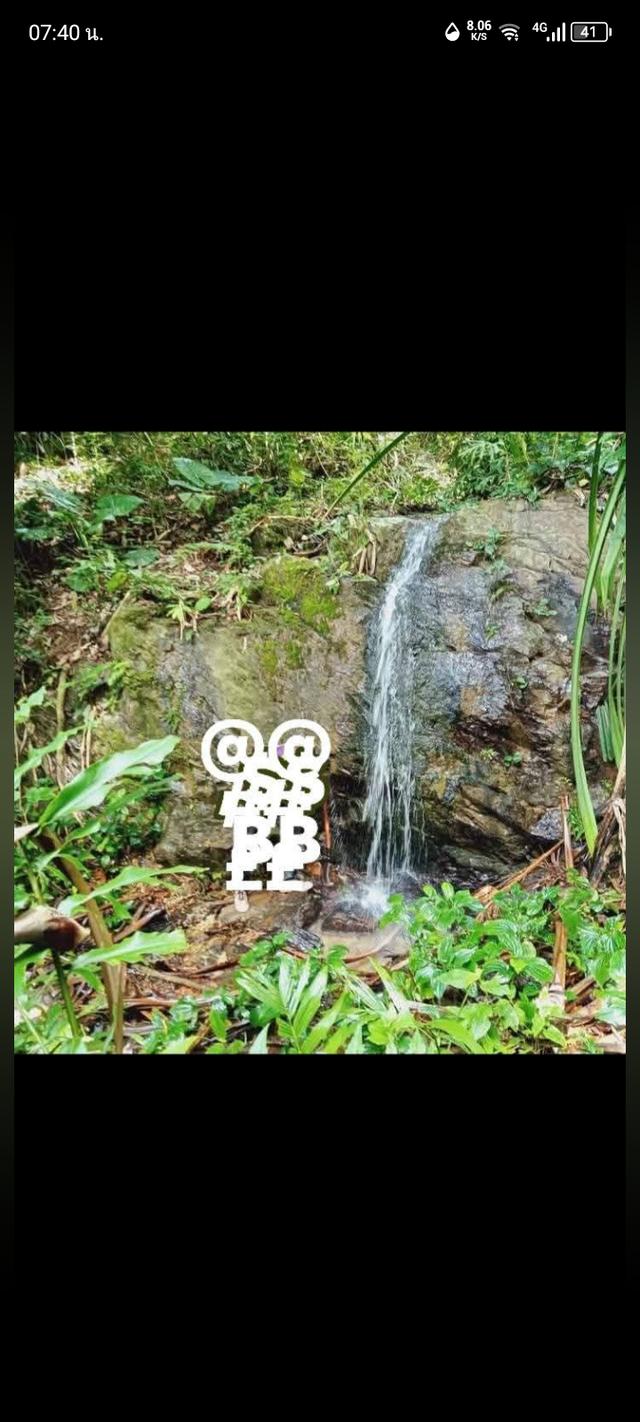 ที่ดิน บ้านคลองน้ำใส ต.คลองเคียน อ.ตะกั่วทุ่ง จ.พังงา 2