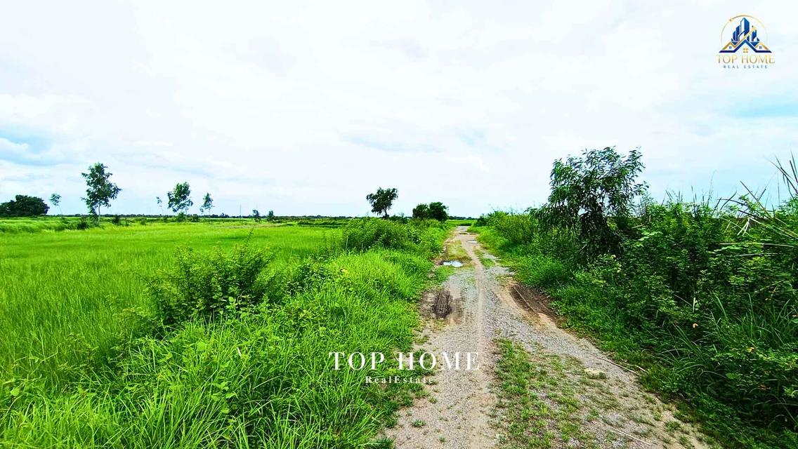ขายด่วน! ที่ดินเปล่า 200 ตร.ว. องครักษ์ 24 — ราคาเพียง 590,000 บาท! 🔥 🌿 แปลงสวย ขนาดกำลังดี เหมาะทำสวน–เพาะปลูก | โฉนดเดียว 4