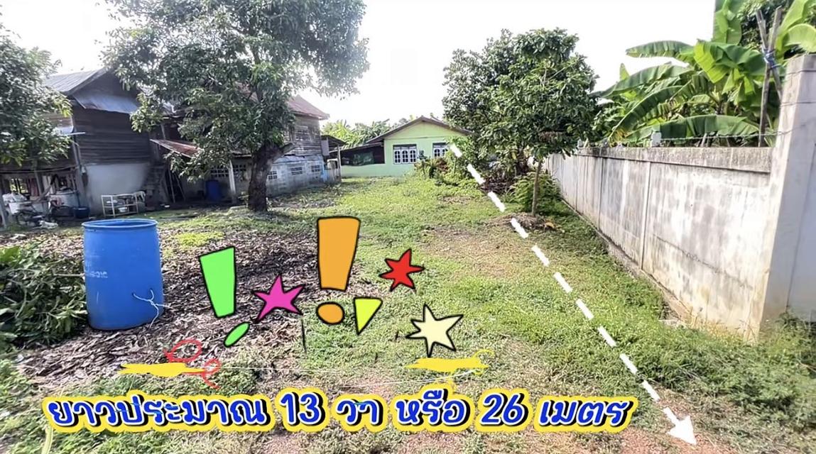 ขายที่ดินสวย ในชุมชน สะดวกน้ำไฟท่อระบายน้ำ พร้อม ต.ทองเอน อ.อินทร์บุรี จ.สิงห์บุรี 2
