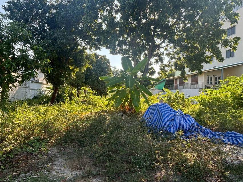 ที่ดิน อสังหาริมทรัพย์ 9