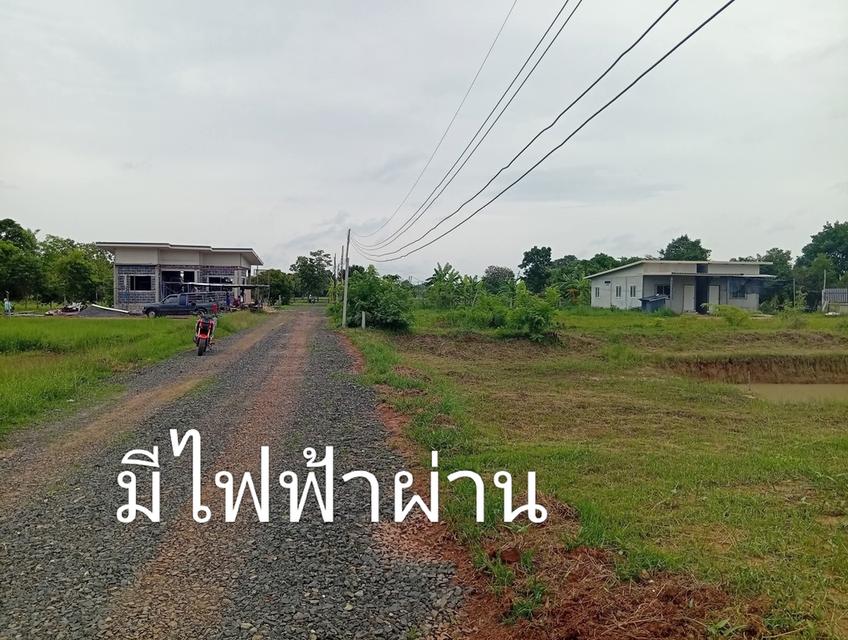 📢ขายที่ดินเหมาะสำหรับปลูกบ้าน ขนาดกำลังพอดี เงียบ สงบ มีเพื่อนบ้าน น้ำ ไฟ ผ่าน โฉนดไม่ติดภาระผูกพันใดๆพร้อมโอนทุกแปลง  🙏ขายที่ดินเปล่า 150 ตารางวา แ 3