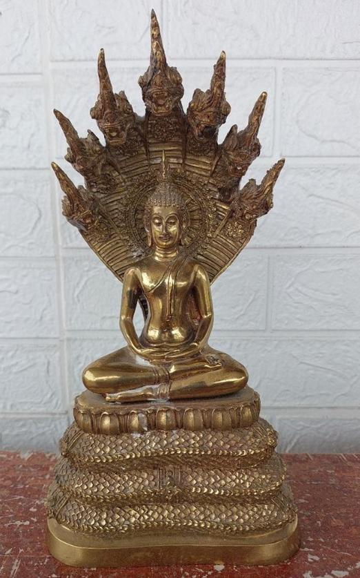 พระนาคปรก