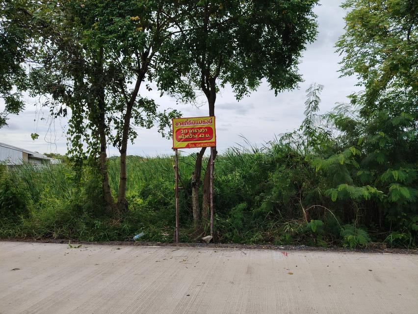 ที่ดินติดถนนแสนเกษม 1