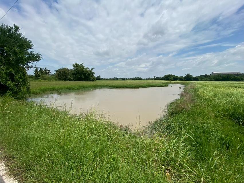 ขายที่ดิน 8 ไร่ อยู่ถนนสายเอเซีย อ. อินทร์บุรี จ. สิงห์บุรี 11