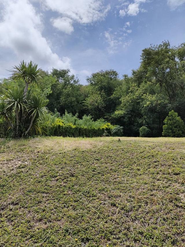 ขายที่ดินพร้อมโฉนด 1-1-32 ตร.ว. อ.ปากช่อง จ.นครราชสีมา ทำเลดี บรรยากาศร่มรื่น ด้านหลังติดภูเขา 1