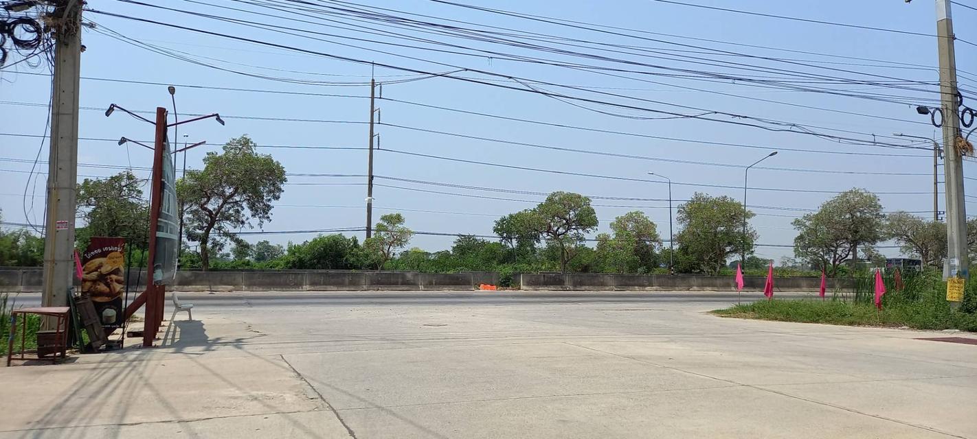 อาคารพาณิชย์พร้อมอยู่ 5