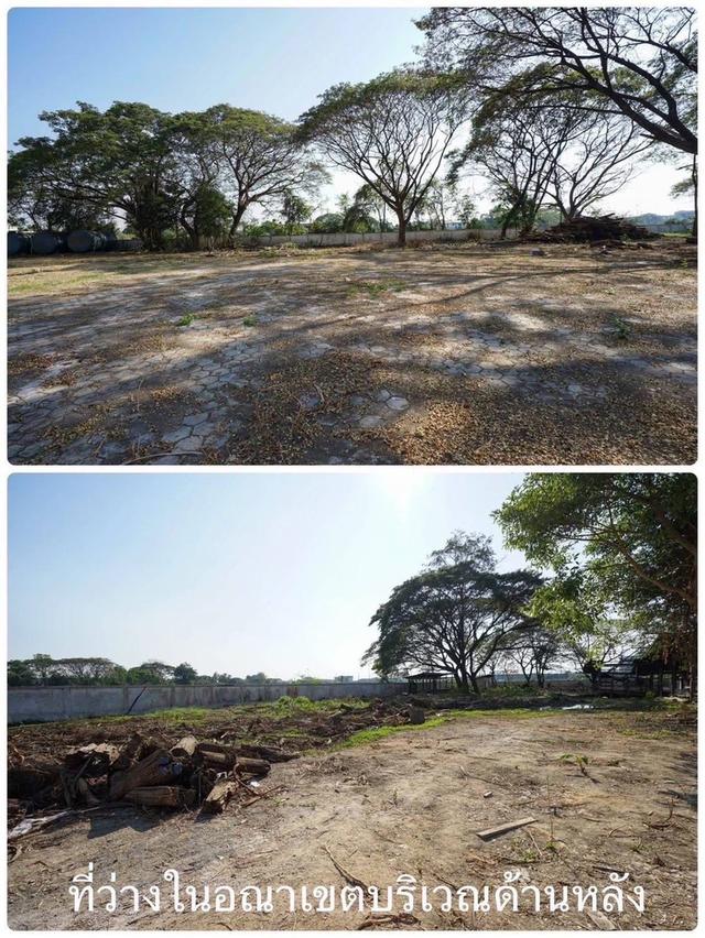ที่ดินเชียงใหม่ต่ำกว่าราคาประเมิน ขายที่ดินในเมืองเชียงใหม่ 9