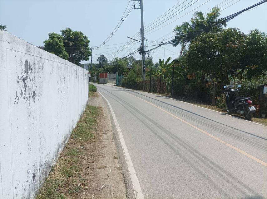 ขายที่ดิน 12,900บาท/ตร.ว. ต.สันปูเลย อ.ดอยสะเก็ด จ.เชียงใหม่ 14