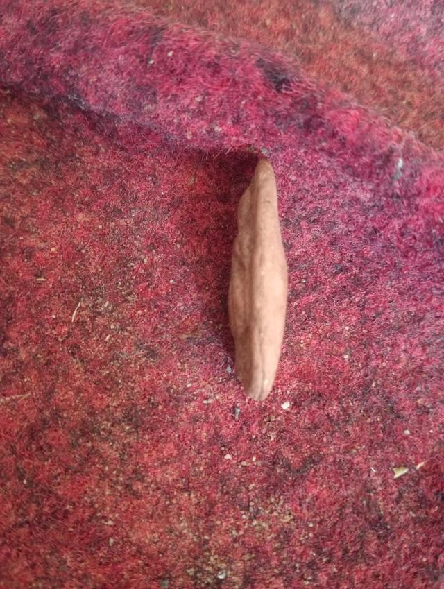 พระลีลาเม็ดขนุน สวยๆ 3