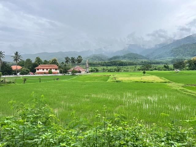 ที่ดิน...วิวดอยภูคา...ใกล้แหล่งชุมชน...ใกล้แหล่งท่องเที่ยว 4