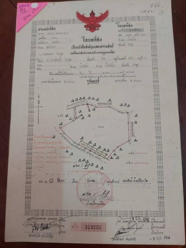 ขายที่ดิน 50 ไร่ไร่ละ 1 ล้านแบ่งขายหรือขายทั้งผืนก็ได้
