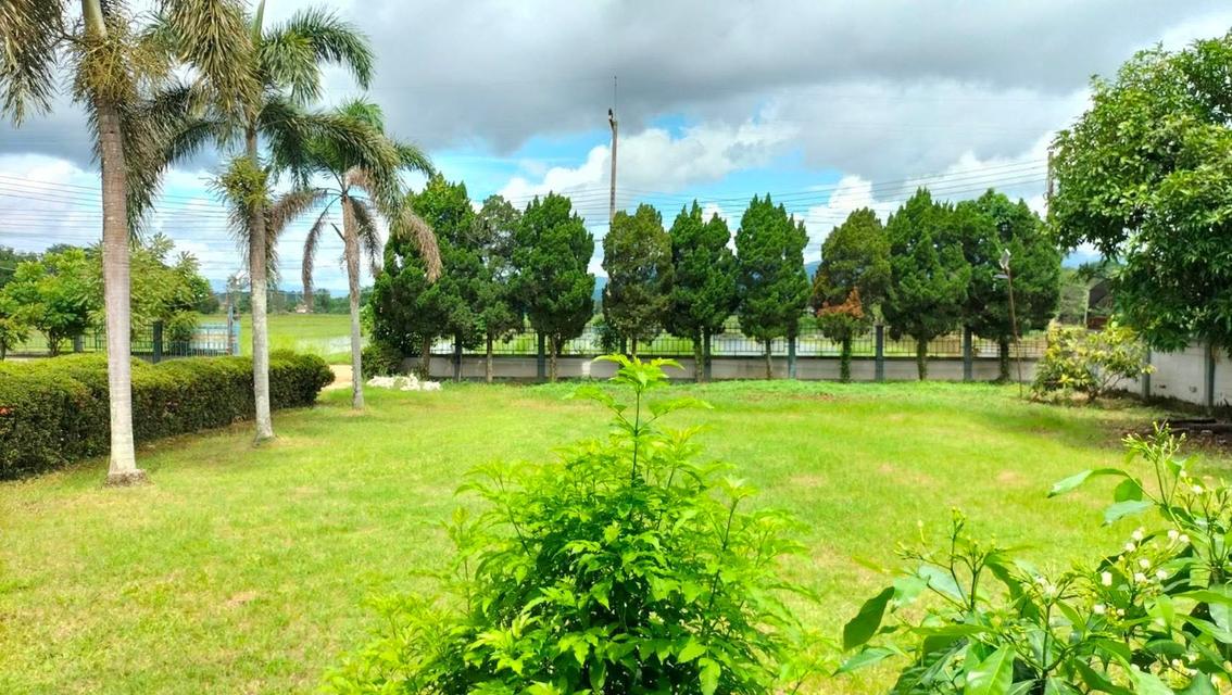 ขายบ้านพร้อมที่ดินสวยๆ ทำเลดี ใกล้จุดสำคัญหลายๆที่ 4