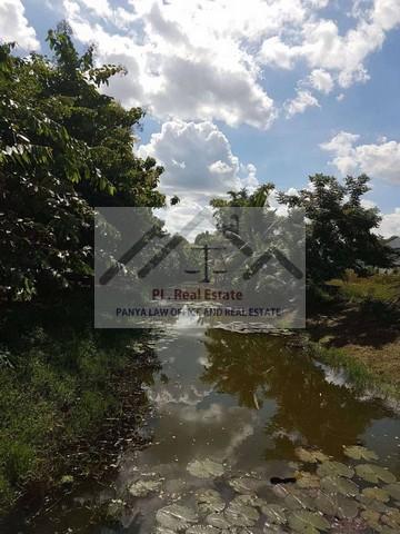 ให้เช่าที่ดิน 1 ไร่ ถนนใหญ่ ย่านพุทธมณฑลสาย1 สายใต้ใหม่ ตลิ่งชัน ( เช่าระยะยาวได้ ) 4