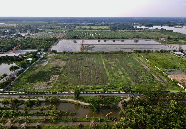 ขายที่ดิน คลอง 9 หนองเสือ ปทุมธานี เนื้อที่ 2 ไร่ มีหลายแปลง 4