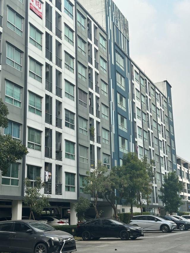 ขายคอนโด The Kith Plus พหลโยธิน-คูคต โครงการ D เฟสใหม่ เฟอร์นิเจอร์ครบ | Digital Door Lock ทำเลดีใกล้ BTS คูคต 15