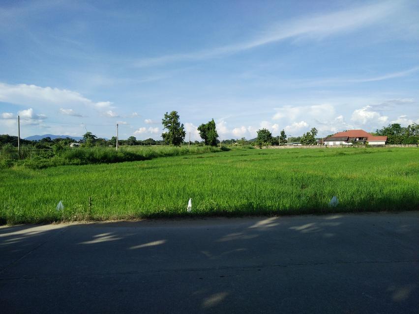 ที่ดินนา13ไร่ ติดถนน100กว่าเมตร 10