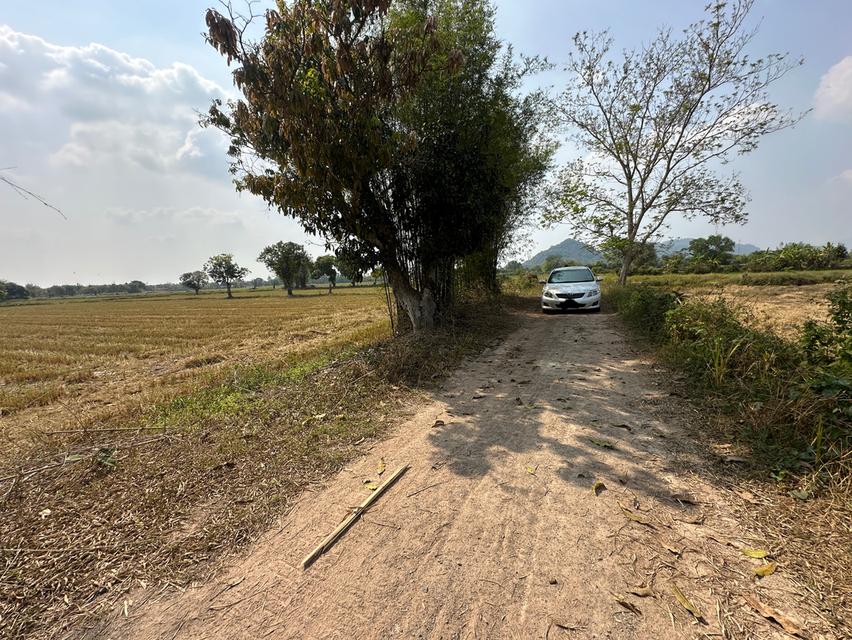 ขายที่ดิน เนื้อที่ 13-2-31.5 ไร่ ตำบลสาริกา อำเภอเมือง จังหวัดนครนายก 2