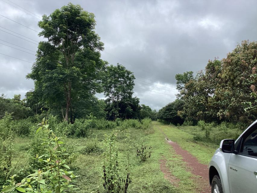 ที่ดินทำเลทอง!ติดถนนเมนหลักใกล้มหาลัยนครพนม 8