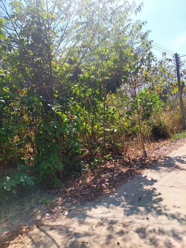 ที่ดินอ.เมืองหวัดสระแก้ว 11