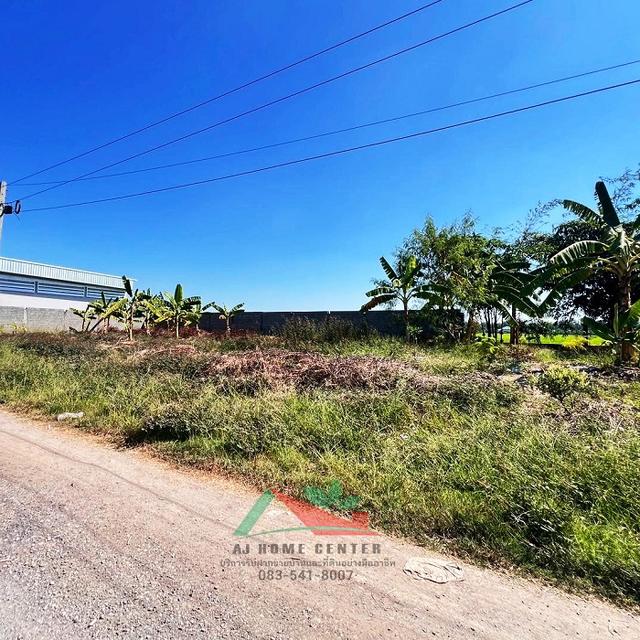 ขายถูก ที่ดินเปล่า3แปลง แปลงละ100ตรว. ซ.สังฆสันติสุข48/1 หนองจอก แบ่งขายได้ 3