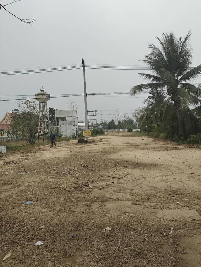 ขายที่ดินเปล่า ทำเลดี ติดถนน​ อำเภอวชิรบารมี จังหวัดพิจิตร  6