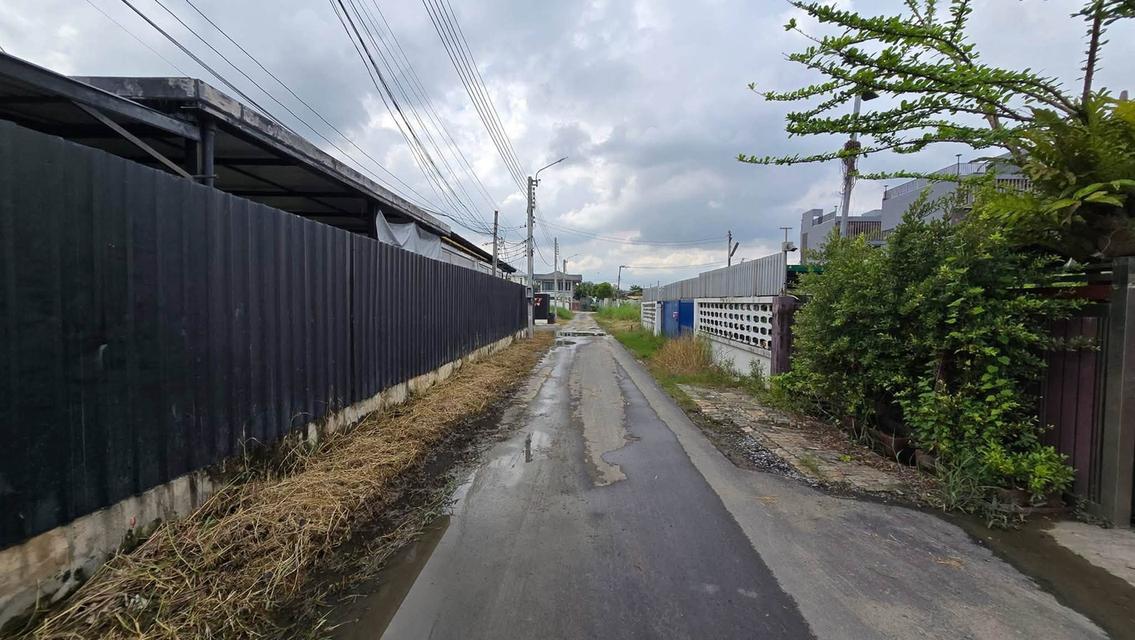ขายที่ดินพัฒนาการ 191 ตรว ติดถนนลาดยางสาธารณะ ถมแล้ว ซ.พัฒนาการ 96 ประเวศ กทม. 8